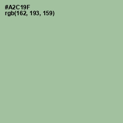 #A2C19F - Spring Rain Color Image