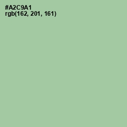 #A2C9A1 - Spring Rain Color Image