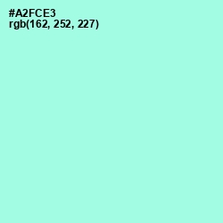 #A2FCE3 - Ice Cold Color Image