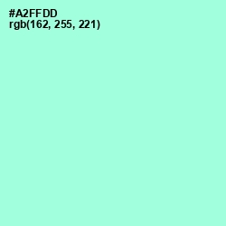 #A2FFDD - Magic Mint Color Image