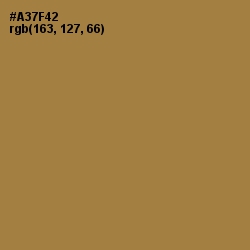 #A37F42 - Cape Palliser Color Image