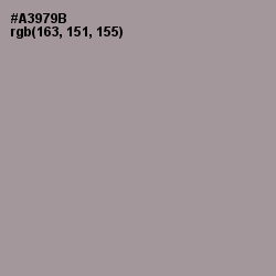 #A3979B - Dusty Gray Color Image