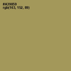#A39859 - Barley Corn Color Image