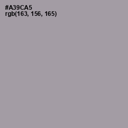 #A39CA5 - Amethyst Smoke Color Image