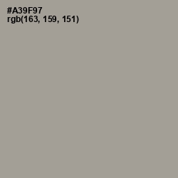 #A39F97 - Zorba Color Image
