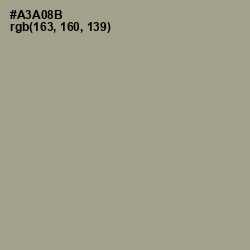 #A3A08B - Tallow Color Image