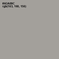 #A3A09C - Dawn Color Image