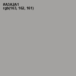 #A3A2A1 - Shady Lady Color Image