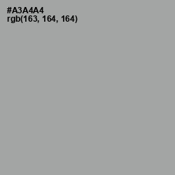 #A3A4A4 - Shady Lady Color Image