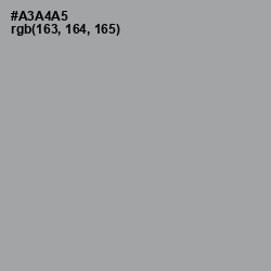 #A3A4A5 - Shady Lady Color Image