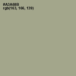 #A3A68B - Tallow Color Image