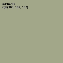 #A3A789 - Tallow Color Image