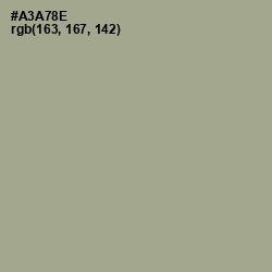#A3A78E - Tallow Color Image