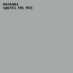 #A3A9A4 - Edward Color Image