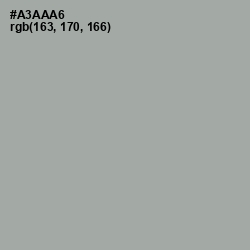 #A3AAA6 - Edward Color Image