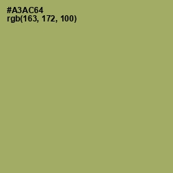 #A3AC64 - Green Smoke Color Image