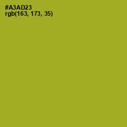 #A3AD23 - Citron Color Image