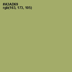 #A3AD69 - Green Smoke Color Image