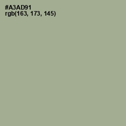 #A3AD91 - Gray Olive Color Image
