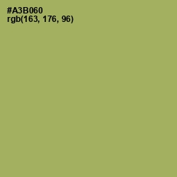 #A3B060 - Green Smoke Color Image