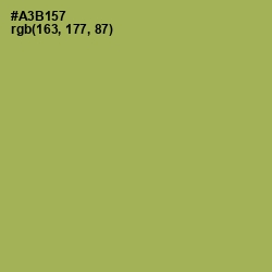 #A3B157 - Olive Green Color Image