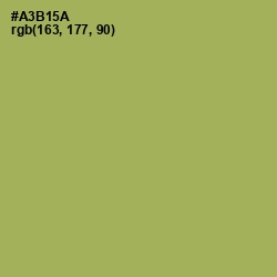 #A3B15A - Olive Green Color Image