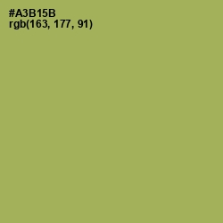 #A3B15B - Olive Green Color Image