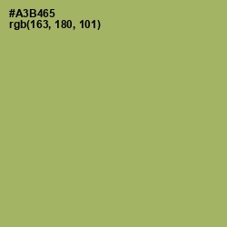 #A3B465 - Green Smoke Color Image