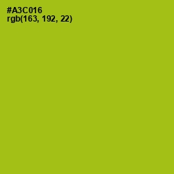 #A3C016 - Citrus Color Image