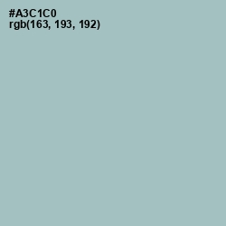 #A3C1C0 - Opal Color Image