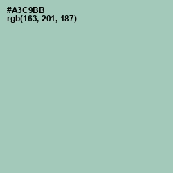 #A3C9BB - Spring Rain Color Image