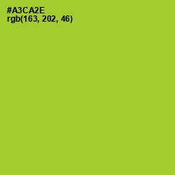 #A3CA2E - Key Lime Pie Color Image