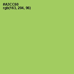 #A3CC60 - Wild Willow Color Image
