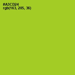 #A3CD24 - Key Lime Pie Color Image