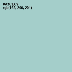 #A3CEC9 - Opal Color Image