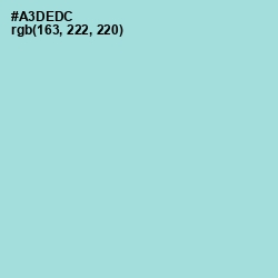 #A3DEDC - Aqua Island Color Image