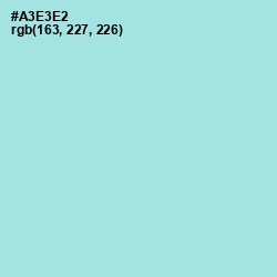 #A3E3E2 - Blizzard Blue Color Image
