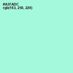 #A3FADC - Magic Mint Color Image