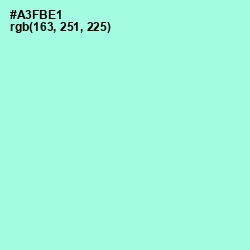#A3FBE1 - Ice Cold Color Image