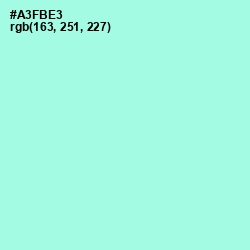 #A3FBE3 - Ice Cold Color Image