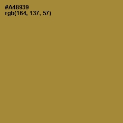 #A48939 - Luxor Gold Color Image