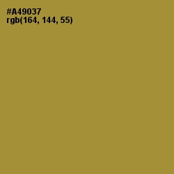 #A49037 - Luxor Gold Color Image