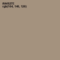 #A4927E - Donkey Brown Color Image