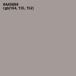 #A49B98 - Dusty Gray Color Image
