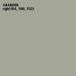 #A4A698 - Dawn Color Image
