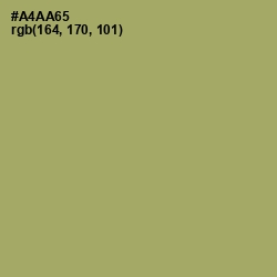 #A4AA65 - Green Smoke Color Image