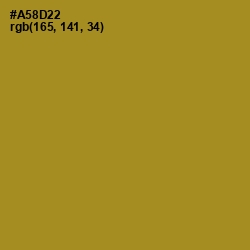 #A58D22 - Luxor Gold Color Image