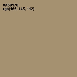 #A59170 - Donkey Brown Color Image