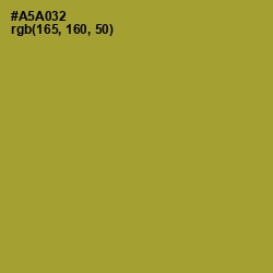 #A5A032 - Lemon Ginger Color Image