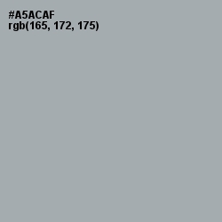 #A5ACAF - Edward Color Image